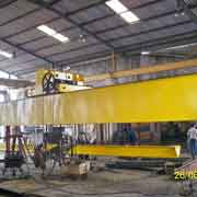 Double Girder Semi EOT Cranes