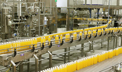 Mango Processing Line