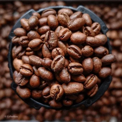 Roasted Coffee Bean