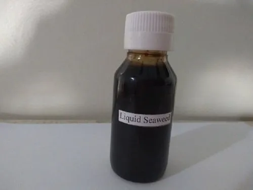 Seaweed Extract Liquid Fertilizer