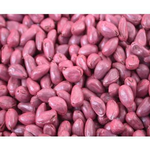 Seed Coating Polymer