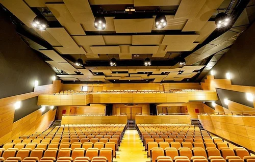 Acoustical Ceiling for Auditorium