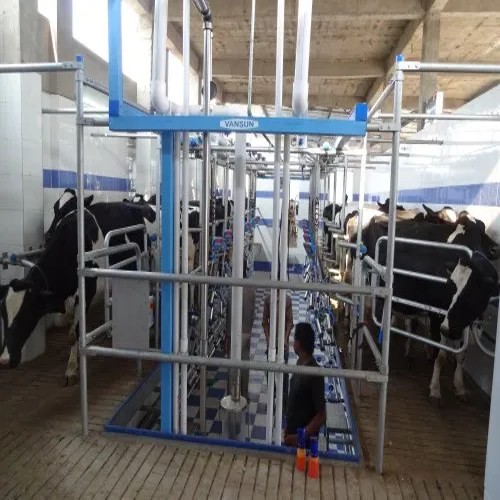 Milking Parlour