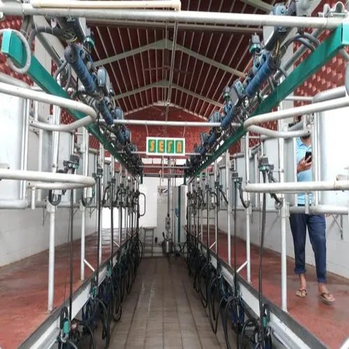 Milking Parlour