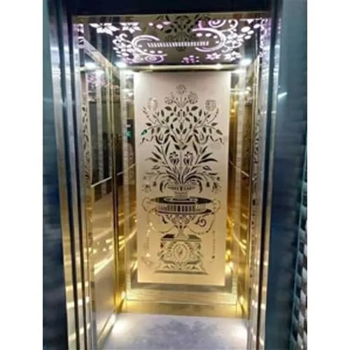 Automatic Passenger Elevator