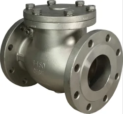 Stainless Steel Check Valve