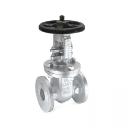 Steel Valves