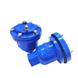 Air Release Valve