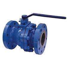 Bellow Seal Valves