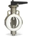 Resistant Butterfly Valve Ivtfe