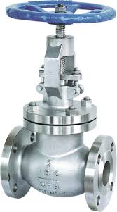 gate valve