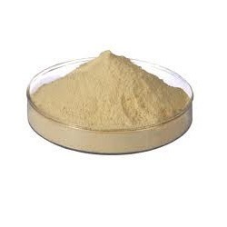 Casein Powder