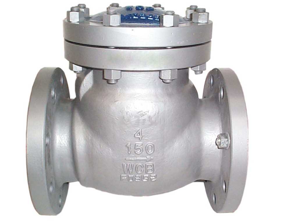 Check valves