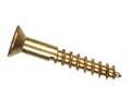 Brass Square Head Screws