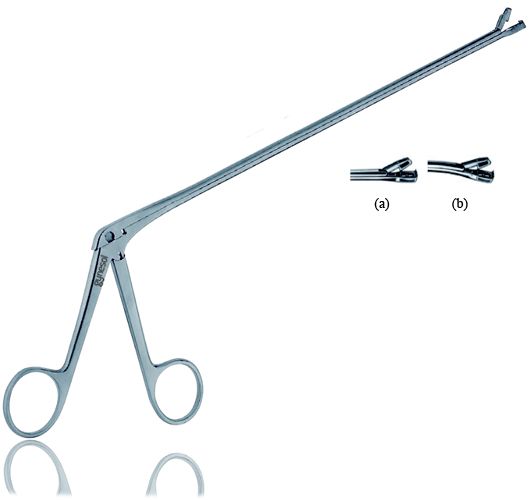 Biopsy Specimen Forcep