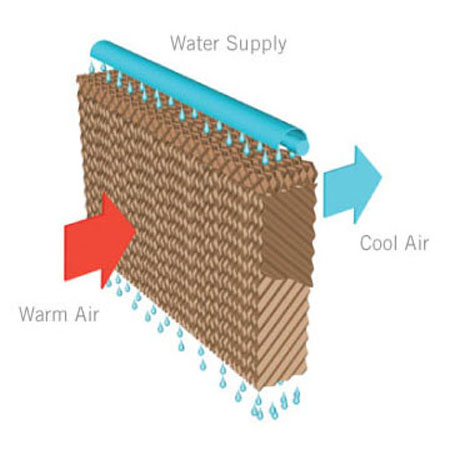 Cellulose Cooling pads(Product Code : SCT 56)