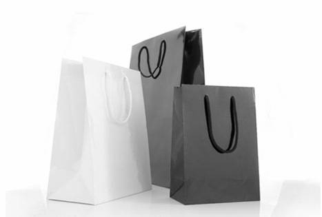 Paper Laminated Bags