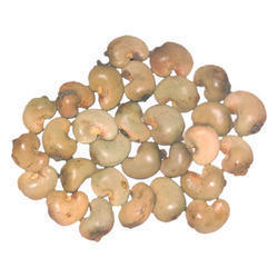 Cashew Shell