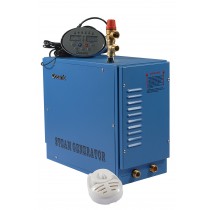 Domestic Steam Generator