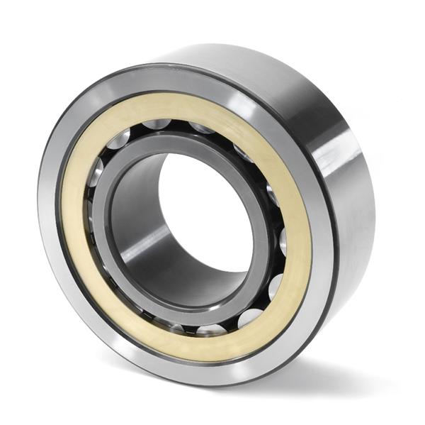 cylindrical roller bearing