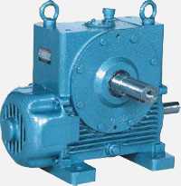 Double Worm Gearbox and Geared Motor