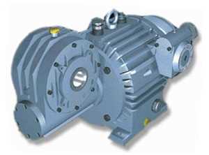 Variable Worm Geared Motor