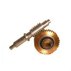 Worm Gear